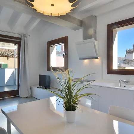 Lonja Apartment *